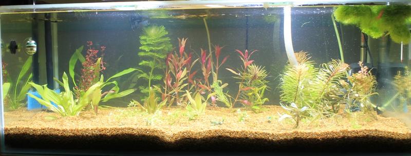 2016-09-15 09-10-45.JPG