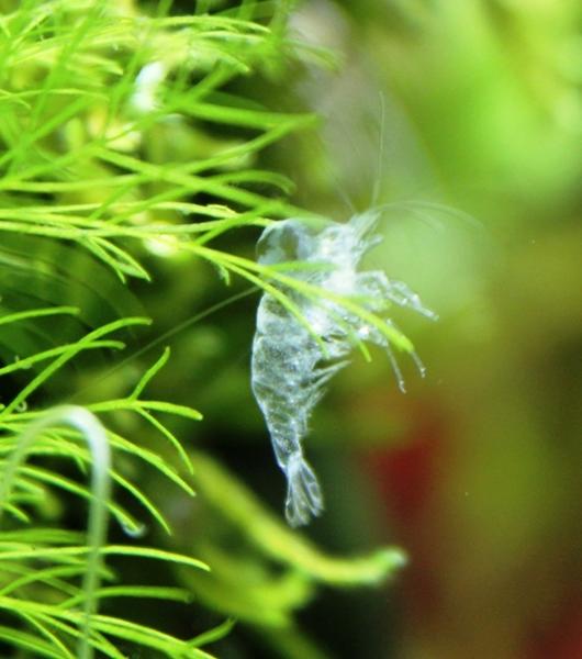 2017-01-31 08-56-34.JPG