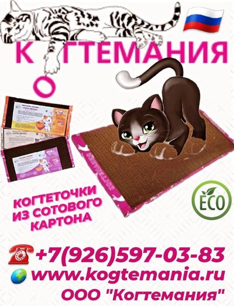 'Когтемания' 2024.jpg