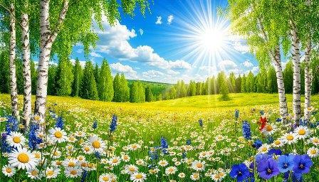 0d2fb5b07c2b11f0bc897eeb1029c504_1.jpg.e03a0ba57ded496cbd5df6761fb9a51e.jpg