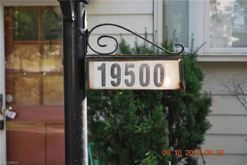 19500.thumb.jpg.d64823d5daddfc39051c7e7063daca60.jpg