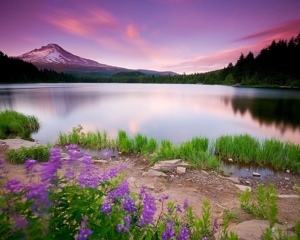 fioletovoe_ozero.jpg