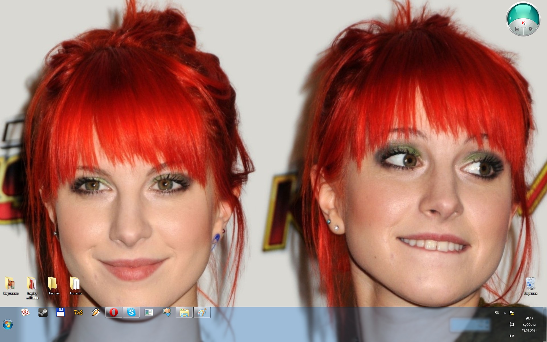 Hayley Williams Fakes