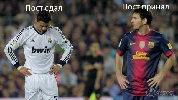 cr7l101NMf6APVWUE.jpg
