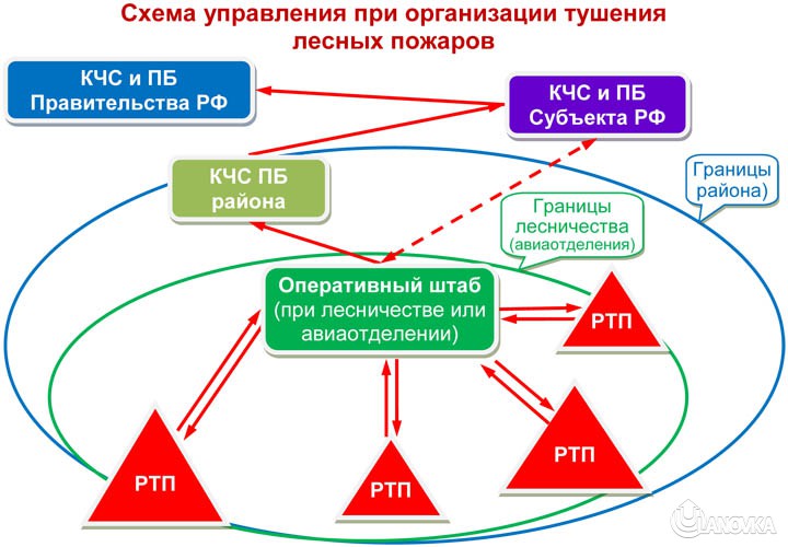 Схема лесного пожара