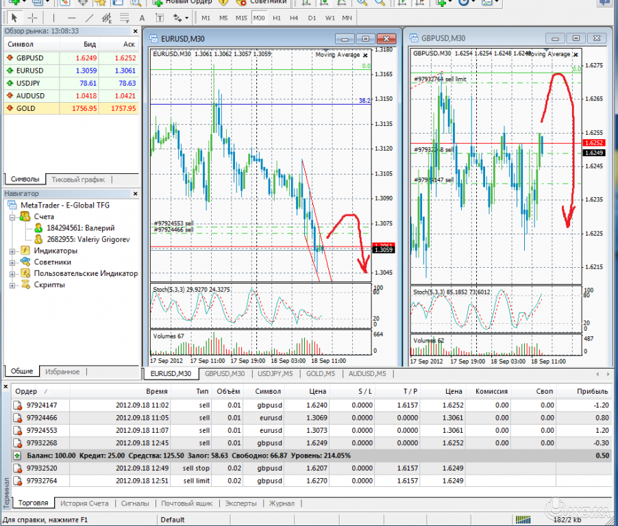 Дневник форекс. Торговый дневник форекс. Trader Notes. Дневник трейдера. Журнал трейдинга.