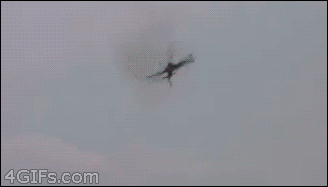 Stunt-pilot-close-to-ground.gif