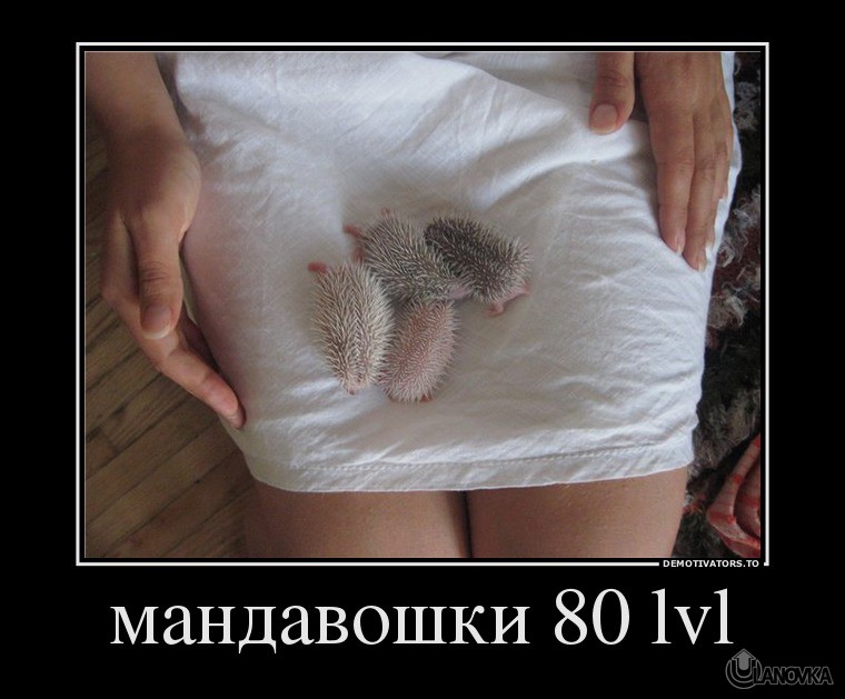 223651_mandavoshki-80-lvl.jpg
