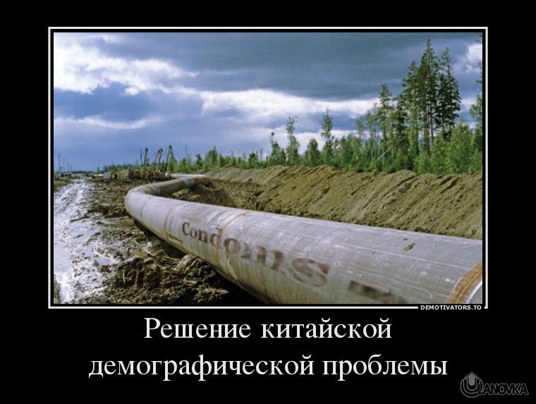 5549781_reshenie-kitajskoj-demograficheskoj-problemyi.jpg