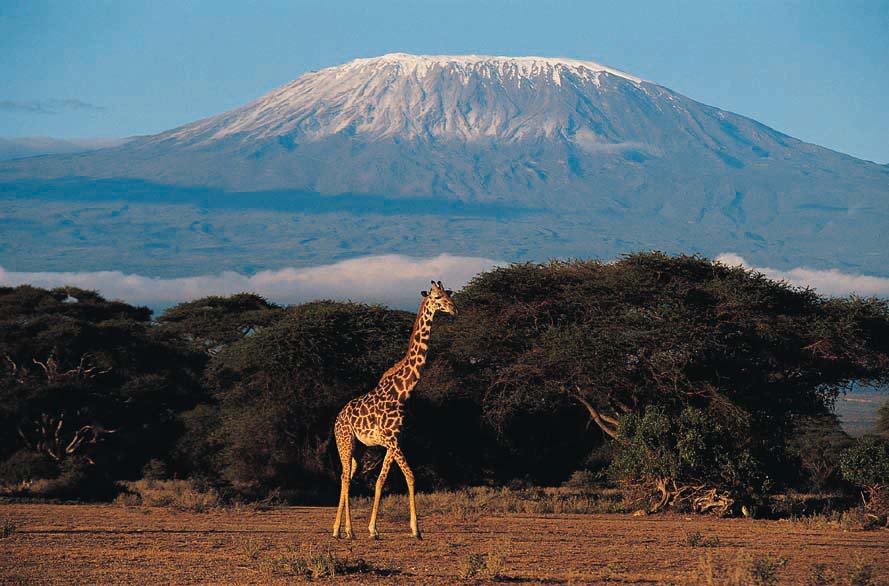 kilimanjaro.jpg