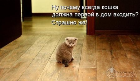 1343197959_prikol_12_xoxi.ru.jpg