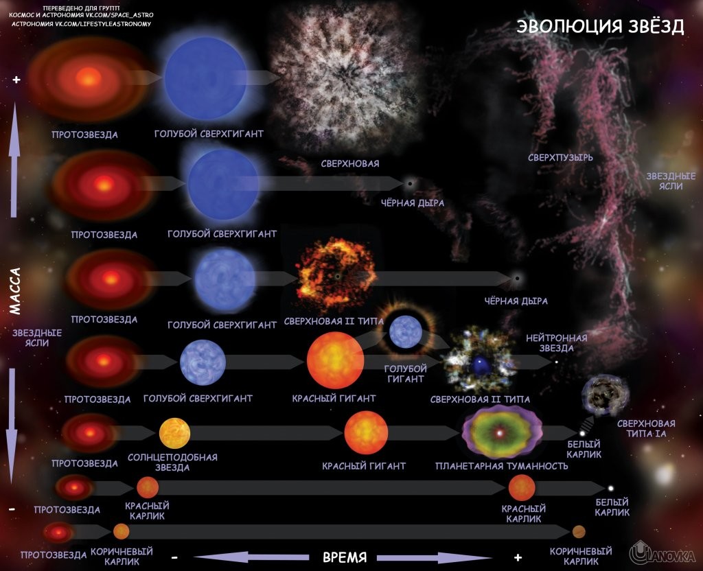 Evolyutsiya_zvezd.jpg
