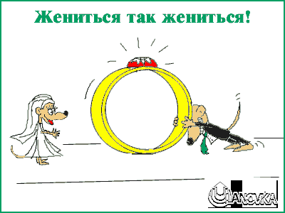 svadba_.gif