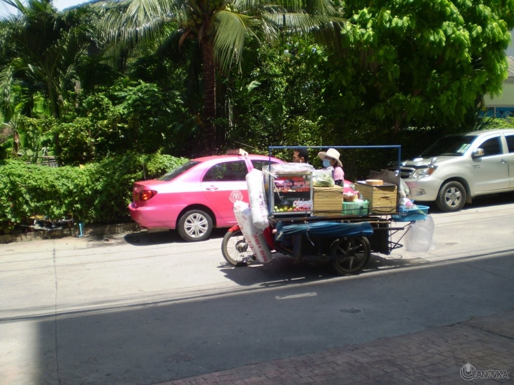 P1010411_8df5f515e629add1ce665e2a7506263