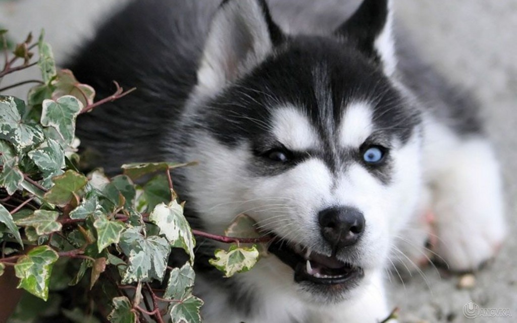 gryz-1024x640_c5b88dedd7714ce935479aa443