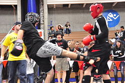 Muay_thai_low_kick.jpg