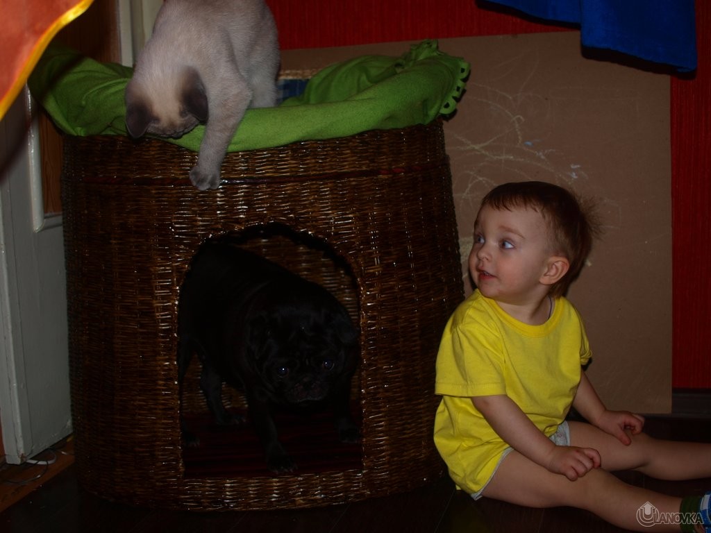 P4215908_645287542fb9c27e3bd98f252acd743