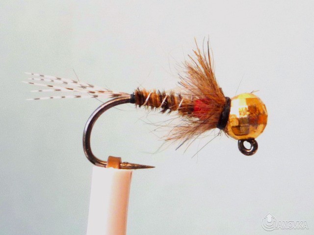 Pheasant_Tail_TTG2.JPG