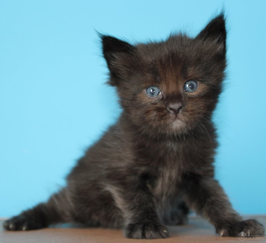 IMG_6410_7e9a03167d48b193b09aac938474f04