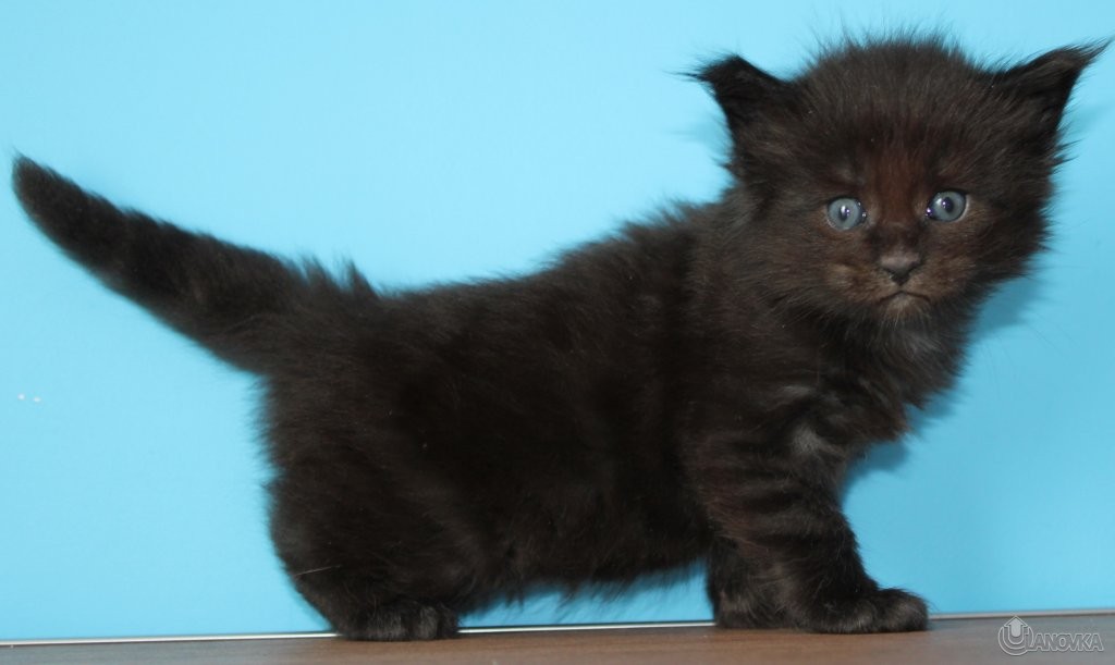 IMG_6415_4c53f9d97bb1cf6777523398962f0f1