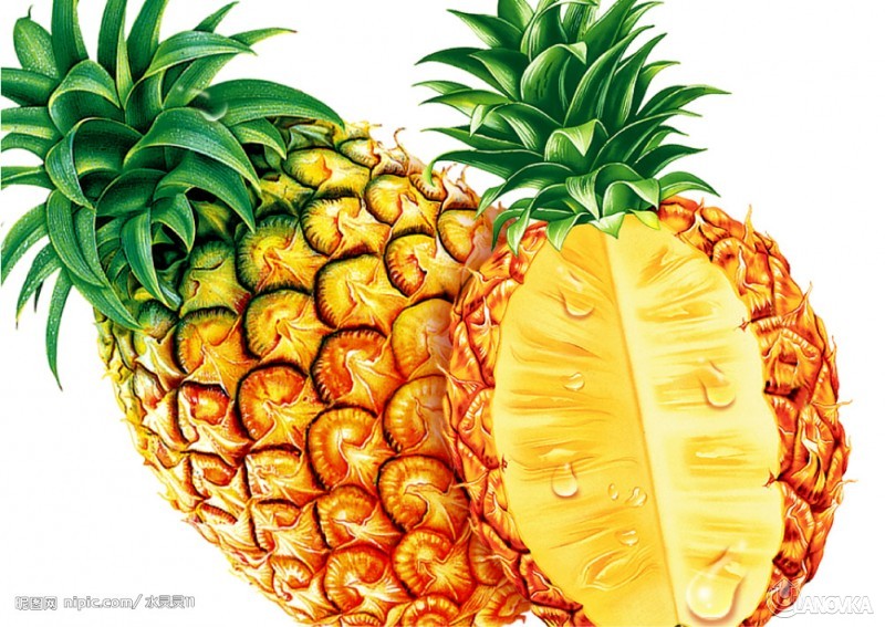 1282814591_ananas1.jpg