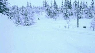 gif_14032013_013.gif