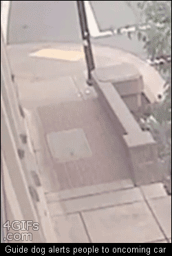 gif_19062013_02.gif