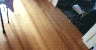 gif_25032013_023.gif