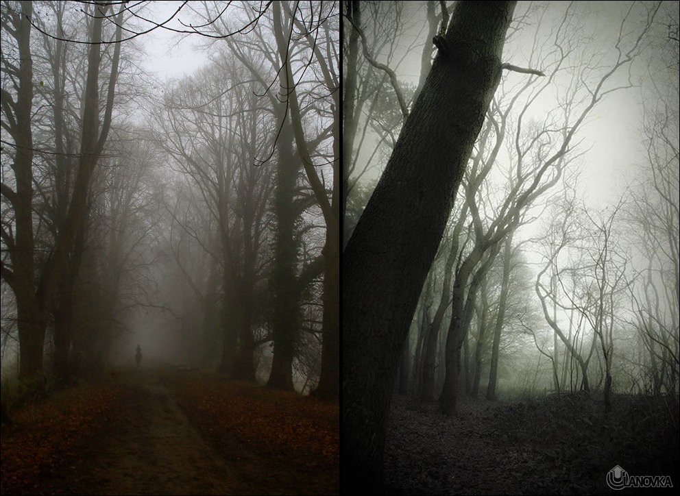 woods_are_scary_19.jpg