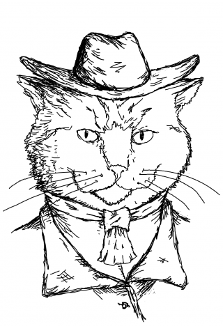 cat_paint_hat_6bd654b64255b0552ab36fc0a00a2a6d_thumb.png