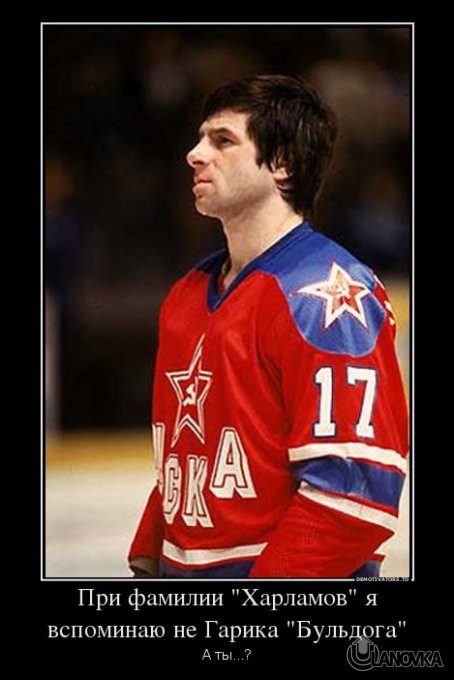398025_pri_familii_harlamov_ya_vspominayu_ne_garika_buldoga_demotivators_ru.jpg