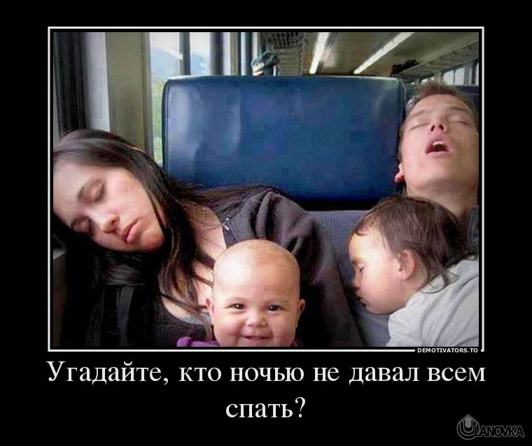 49744406_ugadajte_kto_nochyu_ne_daval_vsem_spat.jpg
