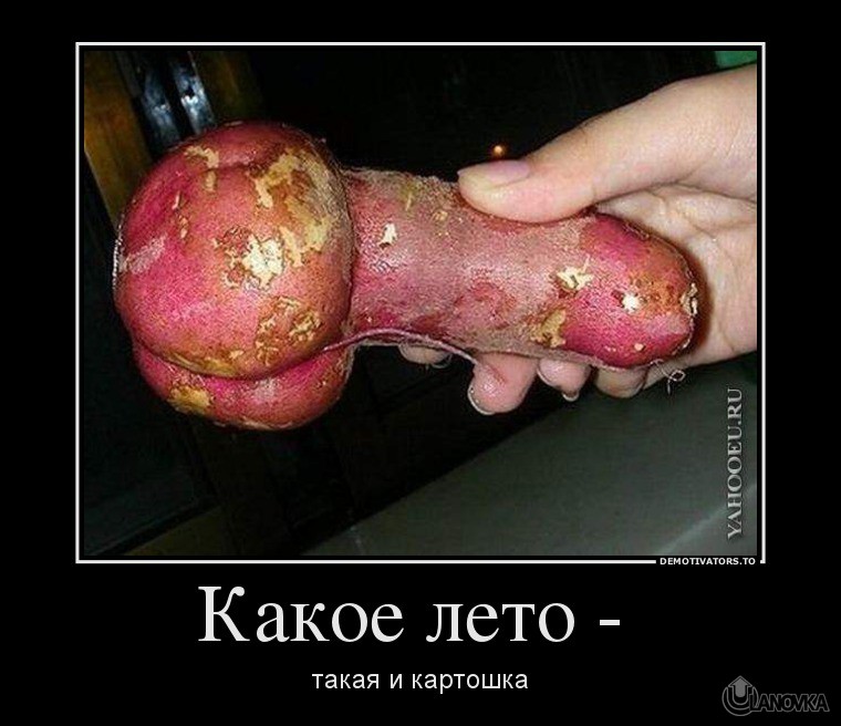 143656_kakoe_leto__demotivators_ru.jpg