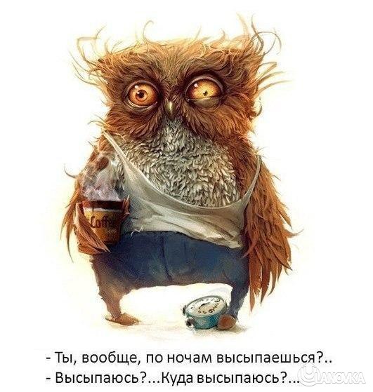 1343329088_vysypaeshsya.jpg