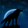 4wolf13